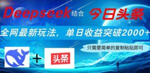（14262期）Deepseek结合今日头条，全网最新玩法，单日收益突破2000+，小白轻松上手-91创业网