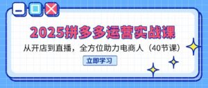 （14259期）2025拼多多运营实战课，从开店到直播，全方位助力电商人（40节课）-91创业网