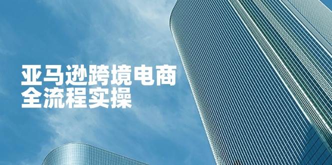 （14252期）亚马逊跨境电商全流程实操，教你从零开始，掌握店铺运营与广告技巧-91创业网
