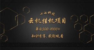 （14239期）云挂机项目单日500-1000知识分享感谢观看-91创业网