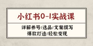 小红书0-1实战课(2023-2025)，详解养号/选品/文案撰写/爆款打造/轻松变现-91创业网