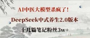 AI中医大模型杀疯了！DeepSeek中式养生2.0版本，十几篇笔记粉丝3w+-91创业网