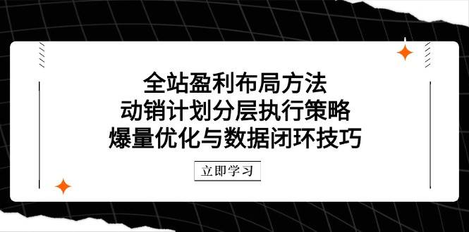 （14698期）全站盈利布局方法：动销计划分层执行策略，爆量优化与数据闭环技巧-91创业网