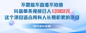 不露脸不直播不拍摄抖音单条视频日入1k+这个项目适合所有人长期积累的项目-91创业网
