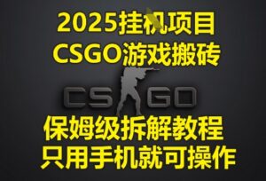 2025挂G项目，CSGO游戏搬砖，保姆级拆解教程，只用手机就可操作【揭秘】-91创业网