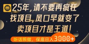 什么？25年你还在疯狂找项目做，醒醒吧，看完这些你全都懂了【揭秘】-91创业网