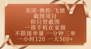 飞猪美团截图项目，你只管截图，一部手机在家做，正规平台无套路，一天5张+【揭秘】-91创业网