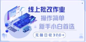线上批改作业，操作简单新手小白首选，无脑日收300+【揭秘】-91创业网